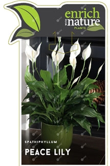 Spath Label Image etag.jpg